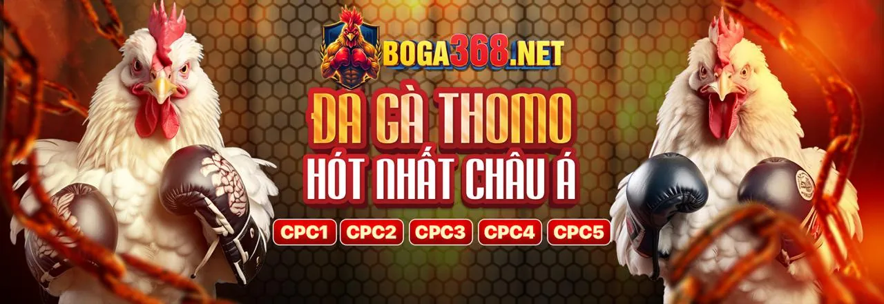 Giao diện tổng quan đá gà trực tuyến Cbvip9