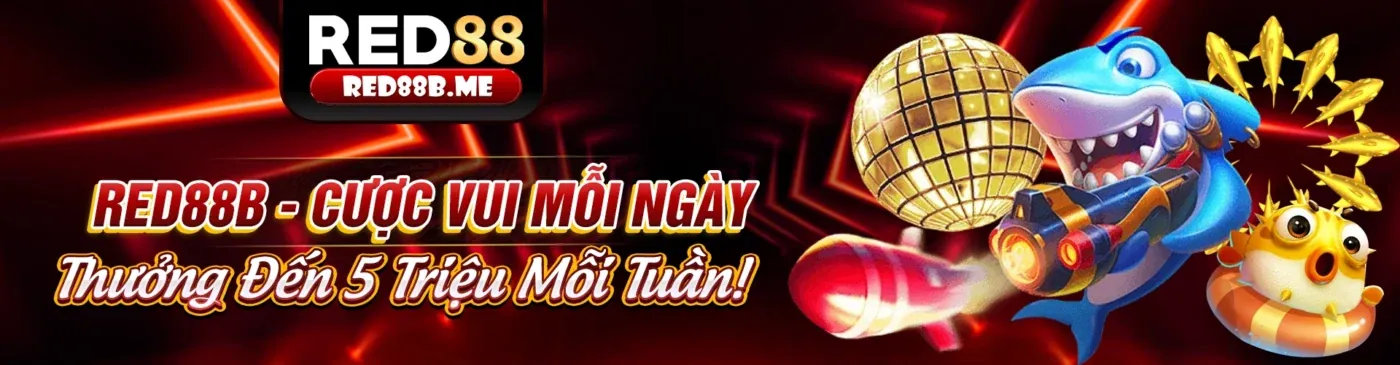 Tổng quan nền tảng cá cược cbvip9 và chính sách cookie an toàn